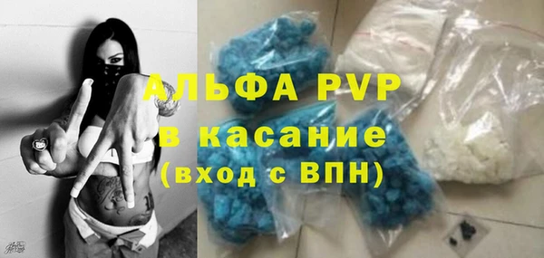 гидра Алексин