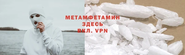 гидра Алексин