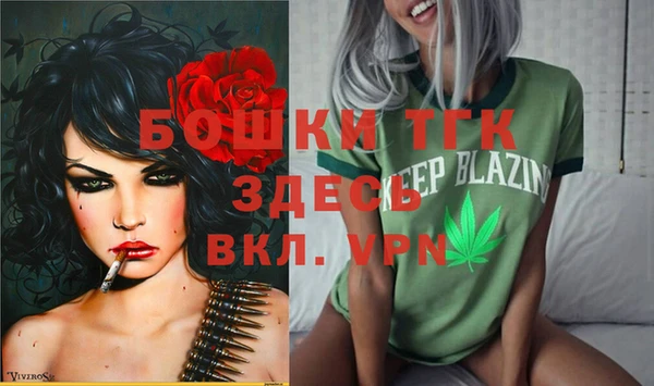 гидра Алексин